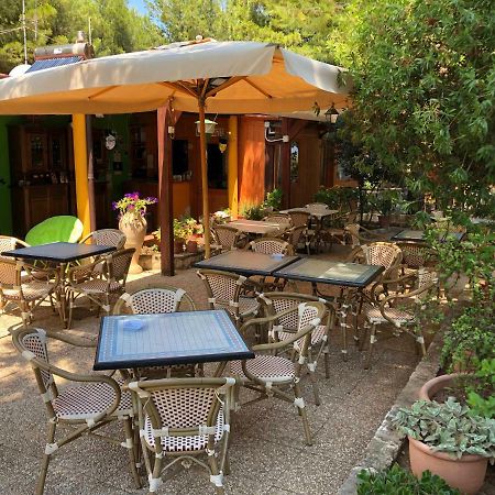 B&B Villa Carla Vieste Eksteriør billede